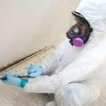 How much does it cost to get a mold inspection?