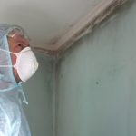 Get the best value for your mold inspection