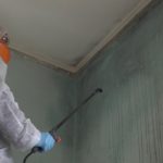 All you need to know about mold inspection in the workplace